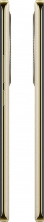 Смартфон REALME 12 Pro 5G RMX3842 12/512Gb бежевый [631011001050]